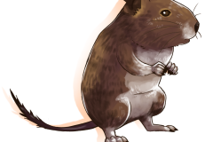 1_Octodon-Genus-illus-07-Sur-pattes-arrieres-SF