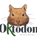 Oktodon Association : to defend and make recognize the degus