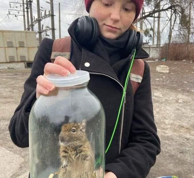 A girl holding a clear container with a degu inside, photographed outdoors.